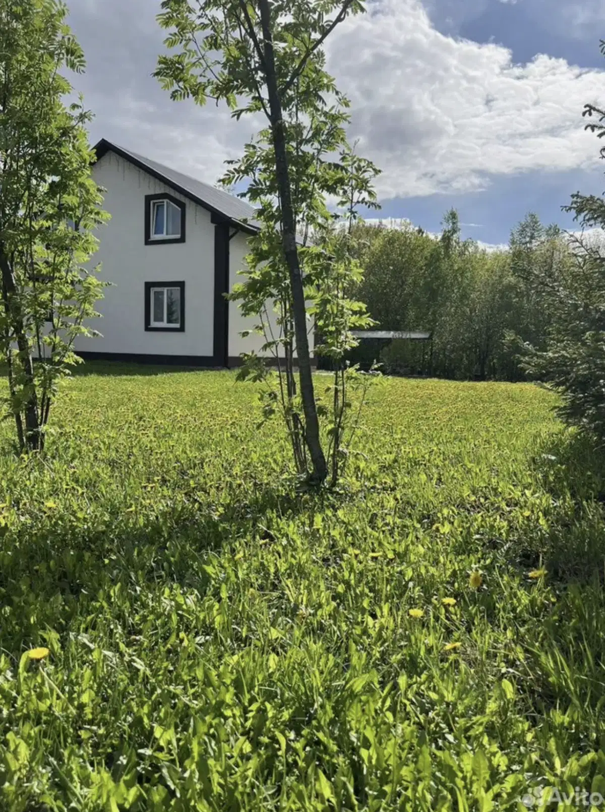 фото Флорида
