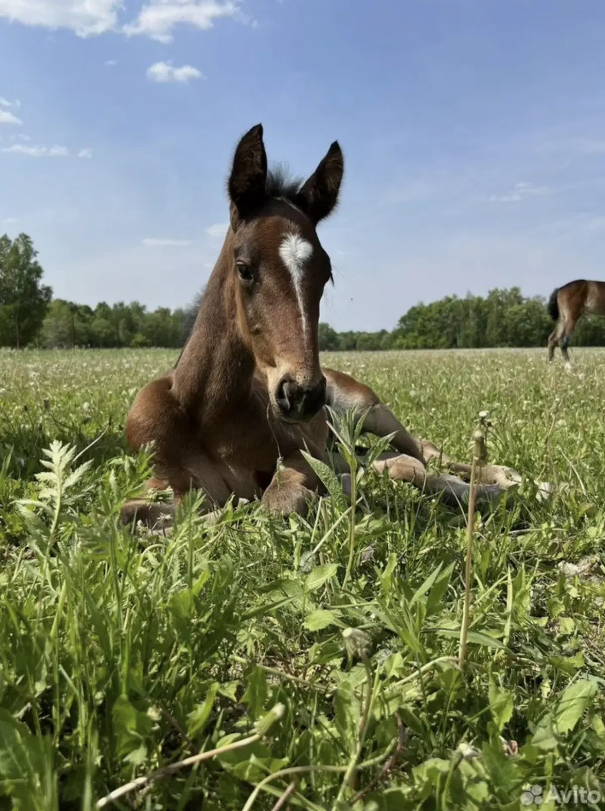 фото Филадельфия