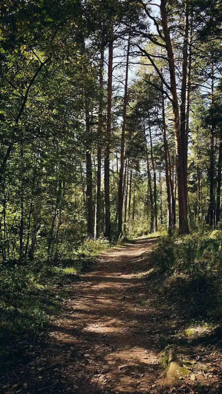 фото Академик на Лесной 