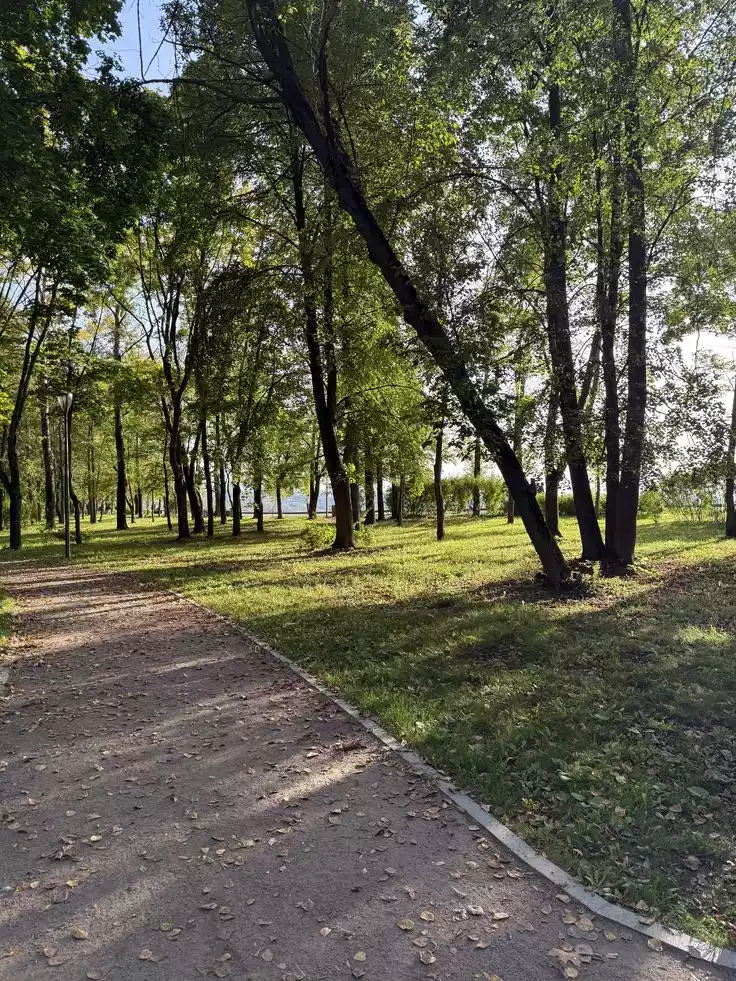фото Академик на Лесной 