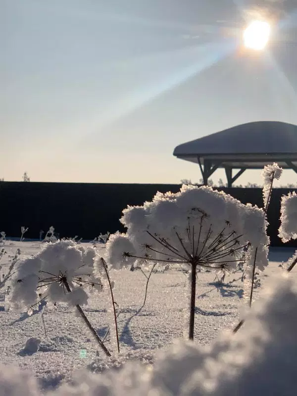 фото Дом, где ничего не отвлекает —…