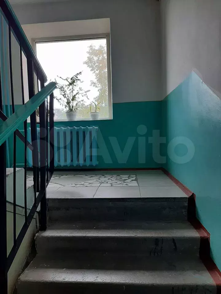 фото Евро-ТРЕШКА, 54 м², 3 кровати