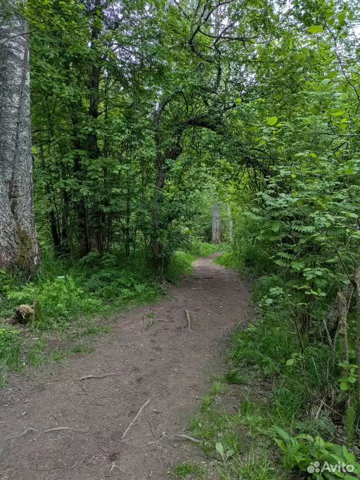 фото 1-к. дом, 48 м²