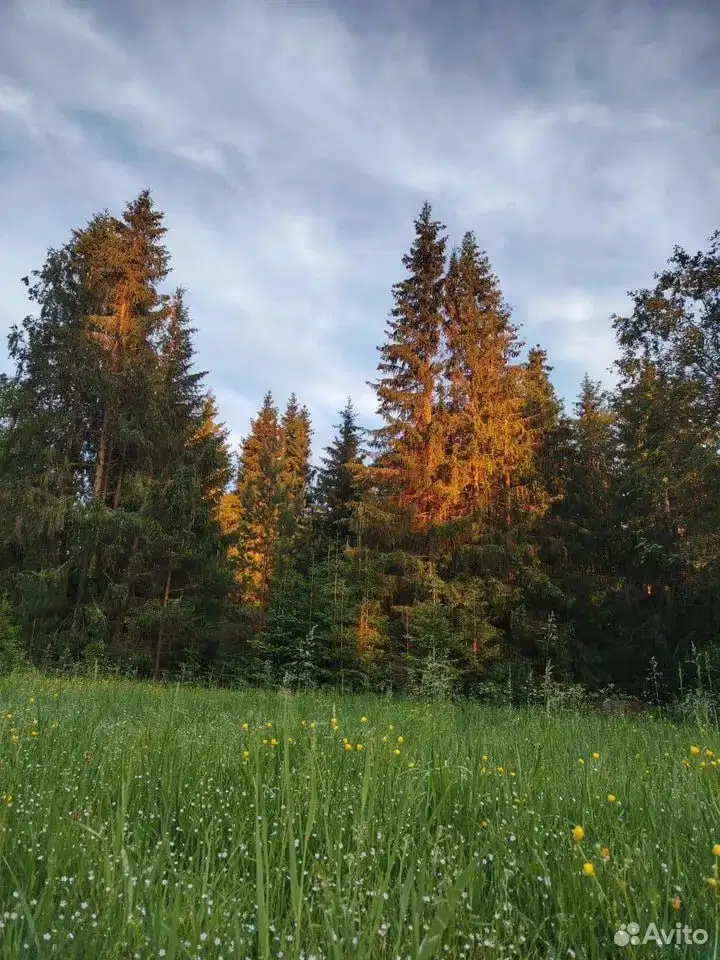 фото 2-к. дом, 50 м²