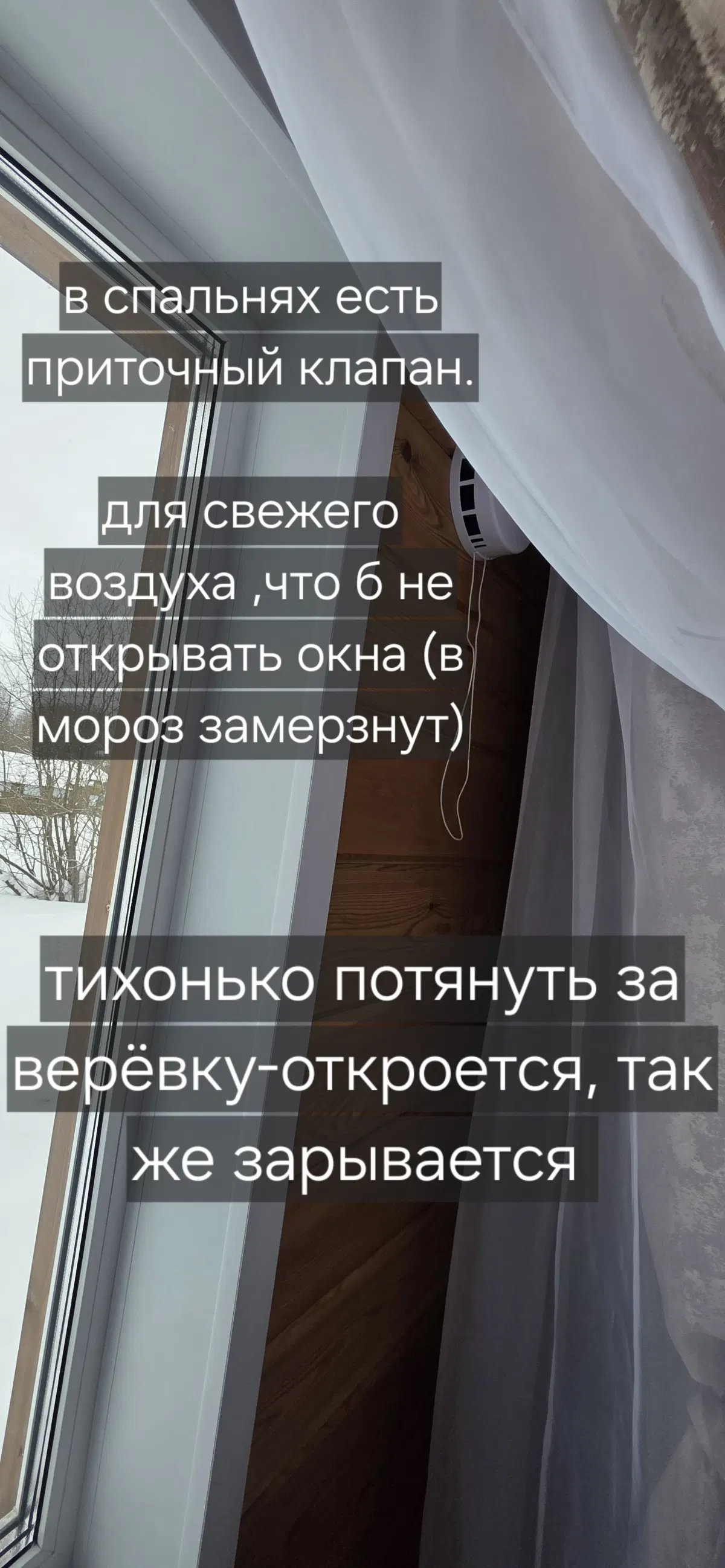 фото ДомУозераБоры