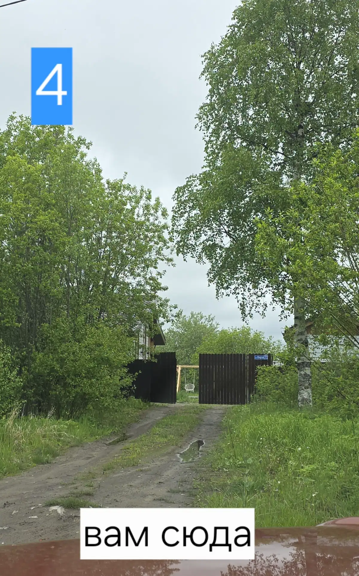 фото ДомУозераБоры