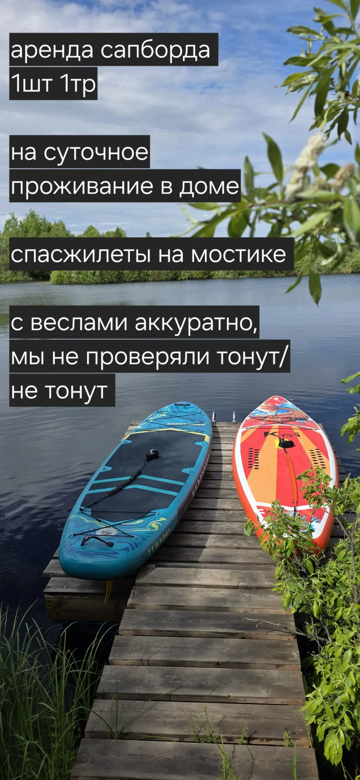 фото ДомУозераБоры