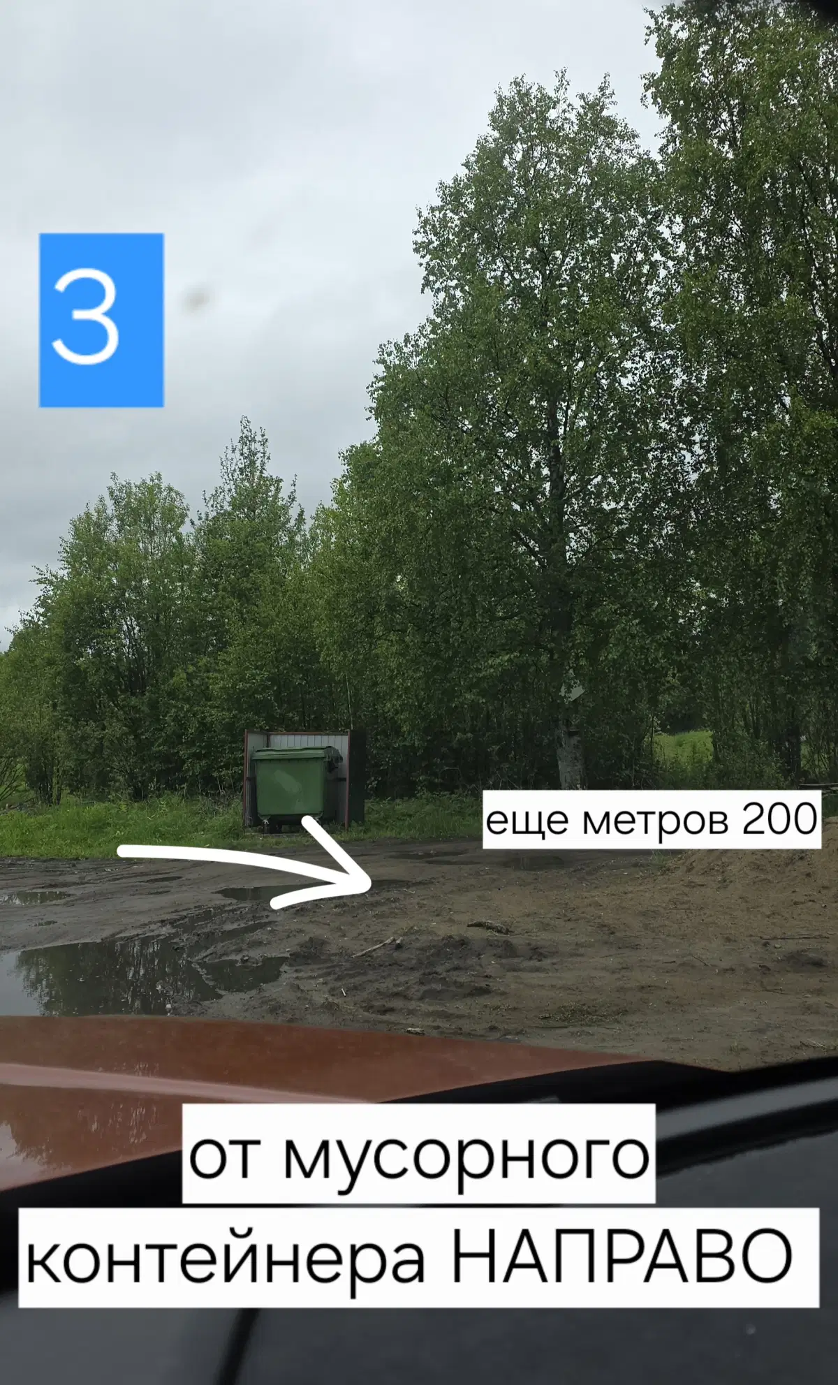 фото ДомУозераБоры