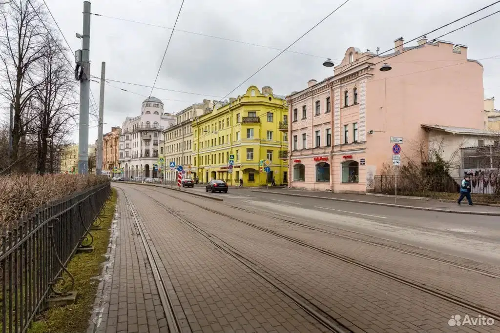 фото Кронверкский