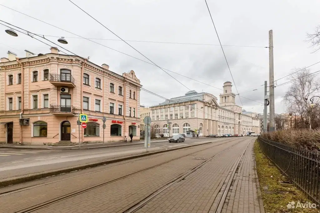 фото Кронверкский