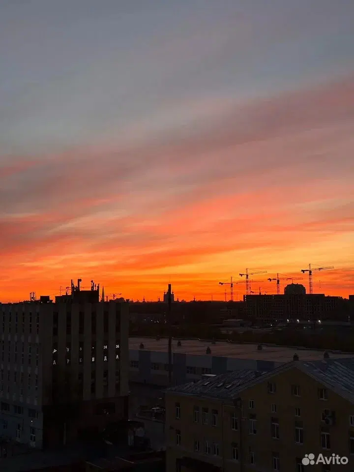 фото БонАпарт
