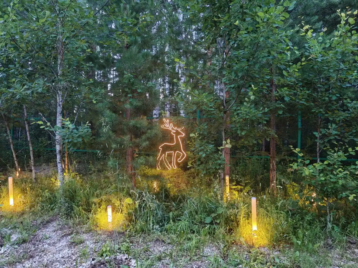 фото Екатеринбург, Лесная улица, 24