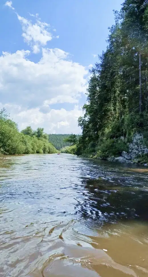 фото Глэмпинг Соты