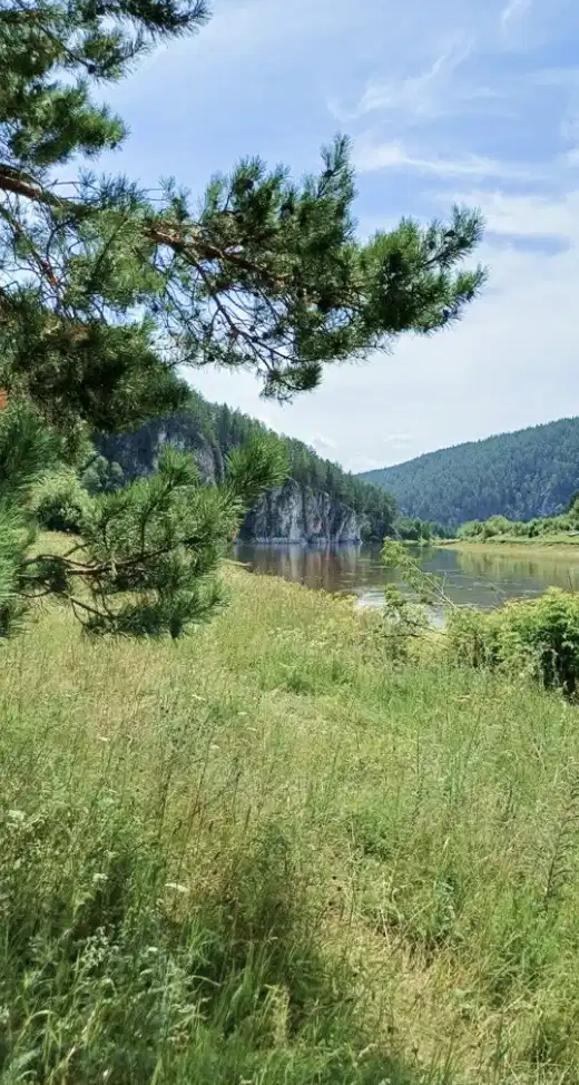 фото Глэмпинг Соты