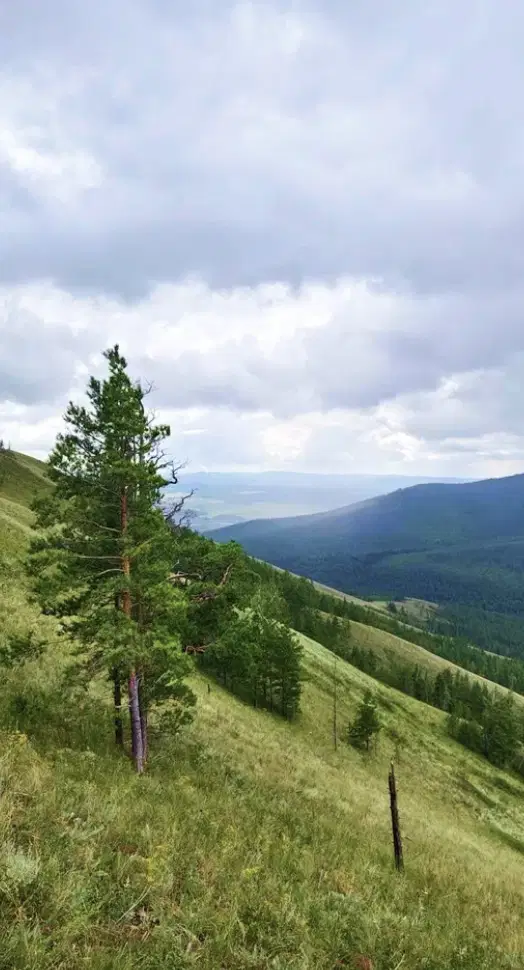 фото Глэмпинг Соты