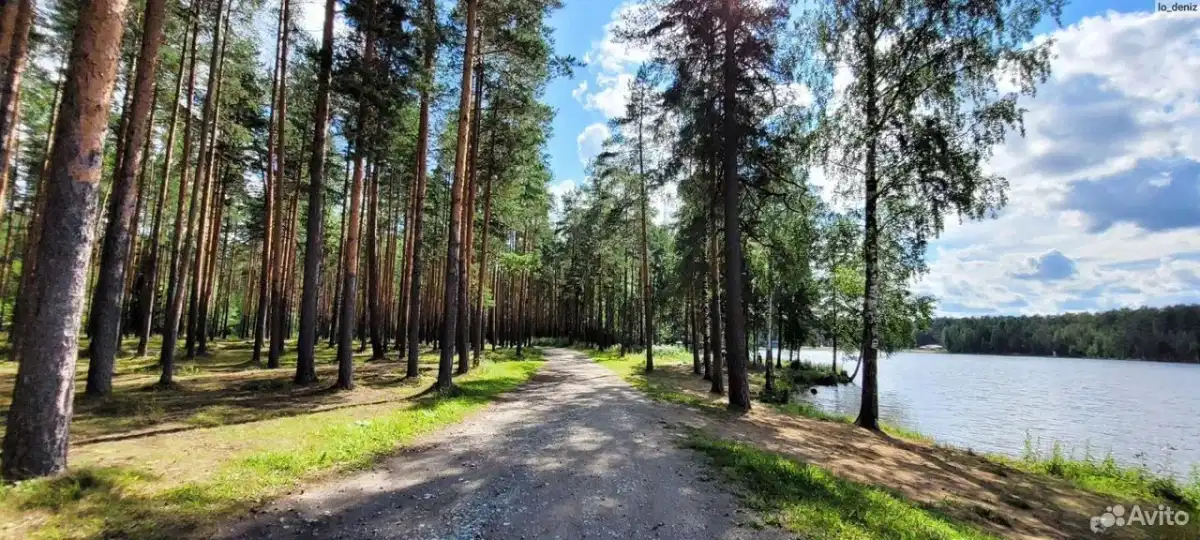 Фото квартиры Уютный Финский домки Tauru