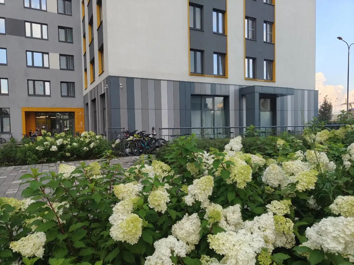 фото Екатеринбург, улица Чемпионов,…