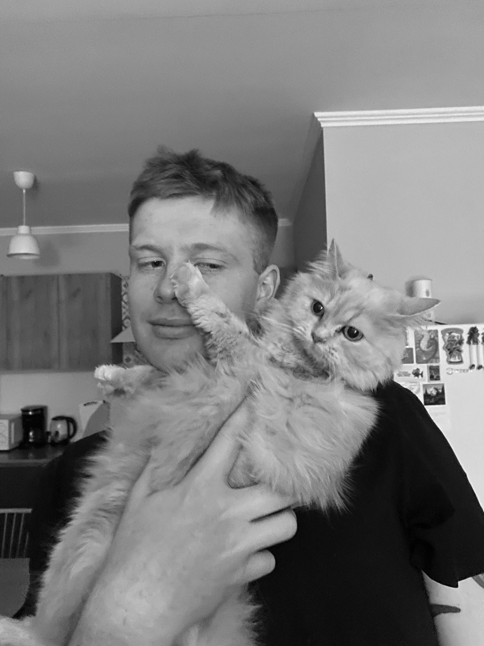 Лого "Pipupi"